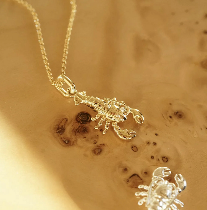 DAISY LONDON LOBSTER CHAIN NECKLACE