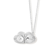 ASTLEY CLARKE BIOGRAPHY HEART LOCKET NECKLACE